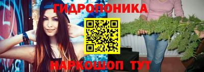 прущие грибы Ирбит