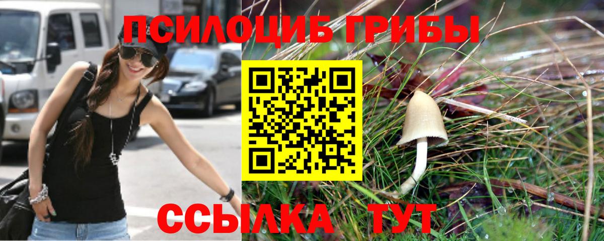 Псилоцибиновые грибы ЛСД Кузнецк